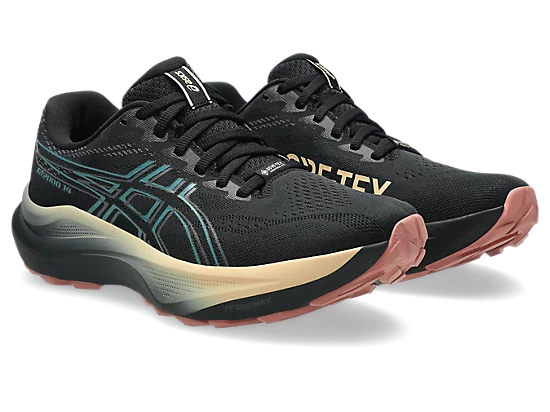 Asics GT-2000 14 GTX — chaussure de running imperméable GORE-TEX
