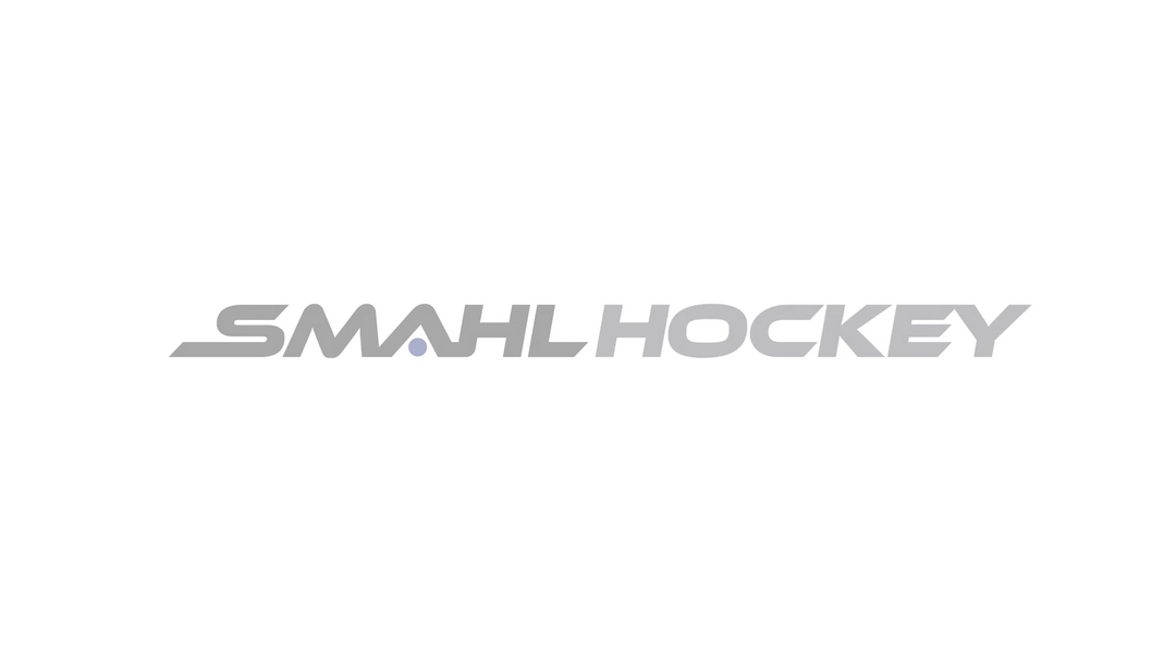 But de Mini Hockey Smahl intéractif